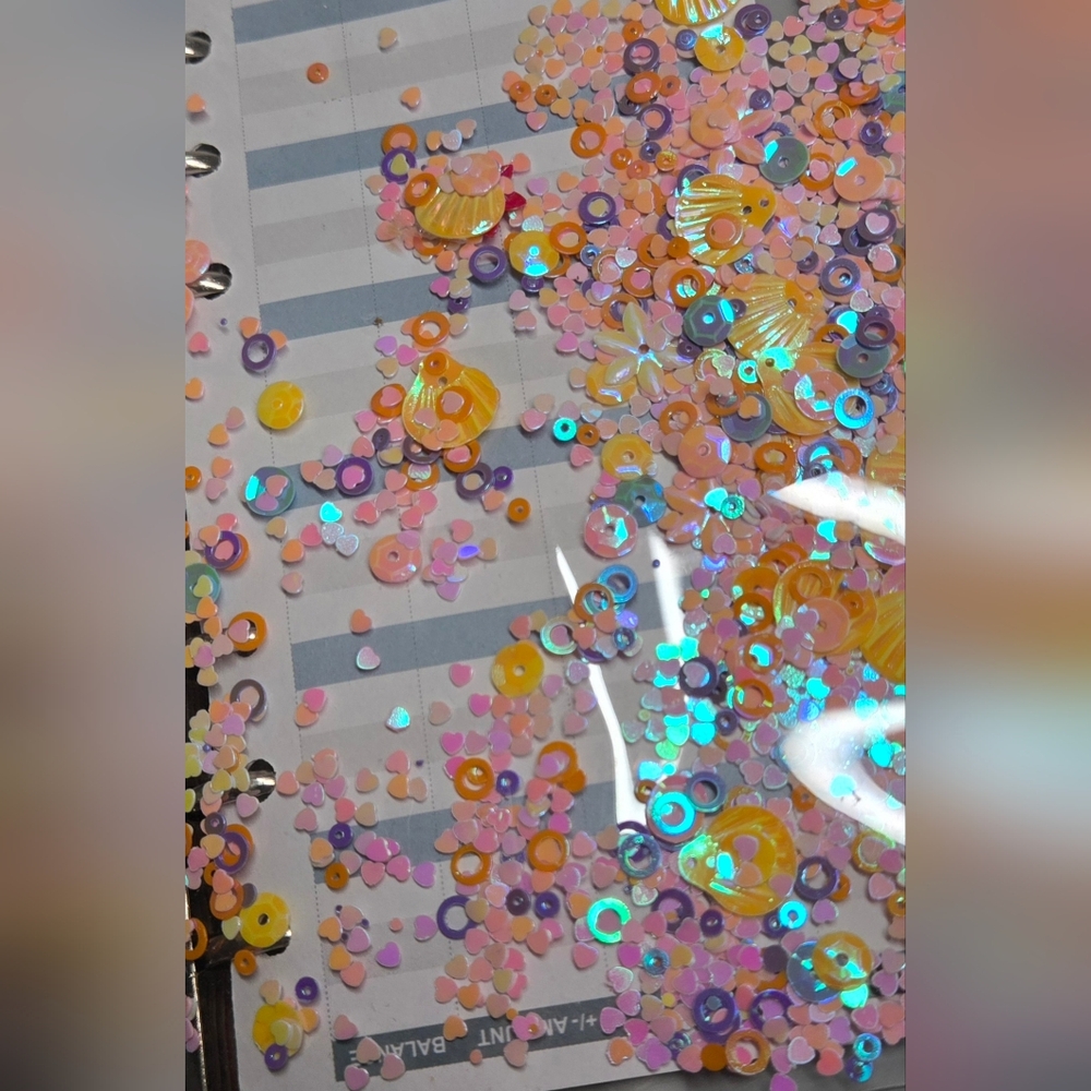 New Cash Wallet Budgeting - Picture 8 of 8